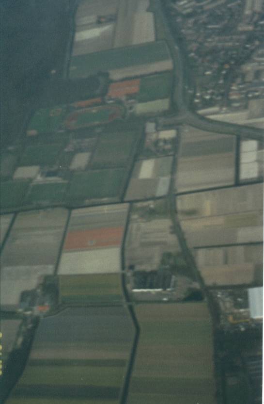 tulip_fields.jpg